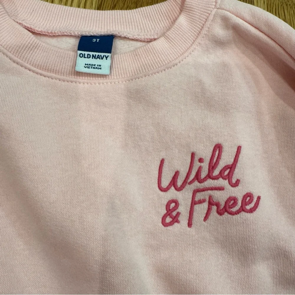 4/$20 Old Navy Pink 'Wild & Free' Sweatshirt Sz 3t toddler NWOT